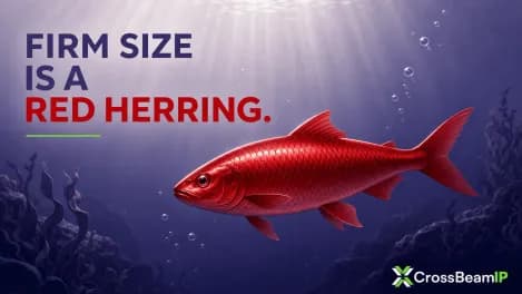 FIRM SIZE IS A RED HERRING